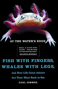 At The Water'S Edge : Fish With Fingers, Whales With Legs, And How Life Came Ashore But Then Went Back To Sea