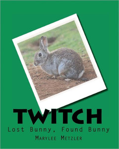""Twitch"": Lost Bunny, Found Bunny