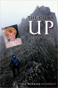 The Climb Up Life's Mountain