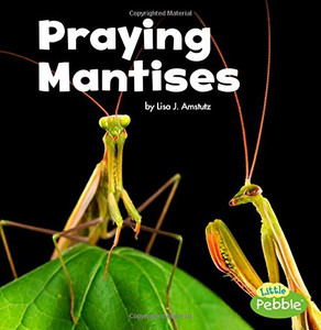 Praying Mantises (Little Critters) Praying Mantises (Little Critters)
