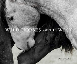 Wild Horses Of The West