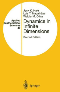 Dynamics in Infinite Dimensions