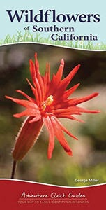 Wildflowers Of Southern California: Your Way To Easily Identify Wildflowers (Adventure Quick Guides) Wildflowers Of Southern California: Your Way To Easily Identify Wildflowers (Adventure Quick Guides)