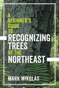 A Beginner'S Guide To Recognizing Trees Of The Northeast A Beginner'S Guide To Recognizing Trees Of The Northeast
