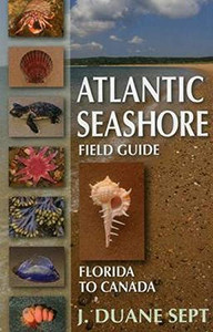 Atlantic Seashore Field Guide: Florida To Canada