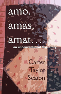 amo, amas, amat...: An Unconventional Love Story