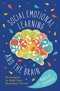 Social-Emotional Learning And The Brain: Strategies To Help Your Students Thrive