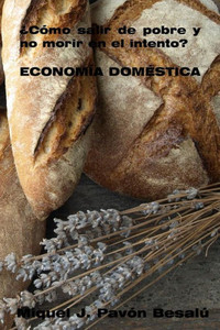 ¿Cómo salir de pobre y no morir en el intento? - Economía doméstica