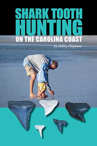 Shark Tooth Hunting On The Carolina Coast
