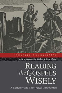 Reading The Gospels Wisely: A Narrative And Theological Introduction
