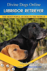 Labrador Retrievers: Divine Dogs Online