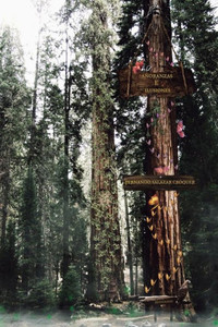 Añoranzas E Ilusiones