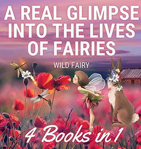 A Real Glimpse Into The Lives Of Fairies: 4 Books In 1 - Hardcover A Real Glimpse Into The Lives Of Fairies: 4 Books In 1 - Hardcover