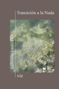 TransiciÃ³n a la Nada