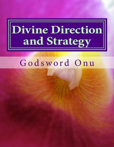 Divine Direction and Strategy: Following God's Path and Method