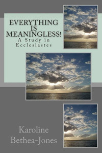 Everything Is Meaningless!: A Study in Ecclesiastes