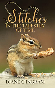 Stitches In The Tapestry Of Time Stitches In The Tapestry Of Time