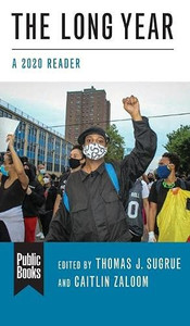 The Long Year: A 2020 Reader (Public Books Series)