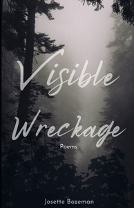 Visible Wreckage: Poems