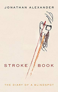 Stroke Book: The Diary Of A Blindspot