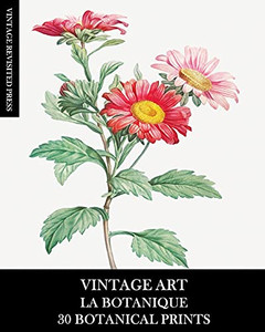 Vintage Art: La Botanique: 30 Botanical Prints For Framing, Collage, Decoupage And Junk Journals