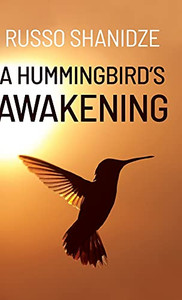 A Hummingbird'S Awakening