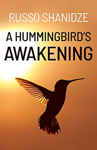 A Hummingbird'S Awakening