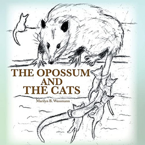 The Opossum And The Cats The Opossum And The Cats