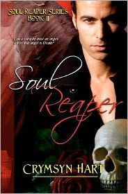 Soul Reaper Series Book II: Soul Reaper