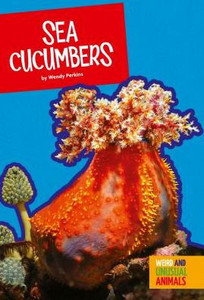 Sea Cucumbers