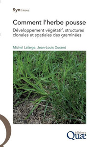 Comment l'herbe pousse: DÃ©veloppement vÃ©gÃ©tatif, structures clonales et spatiales des graminÃ©es