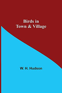 Birds In Town & Village Birds In Town & Village