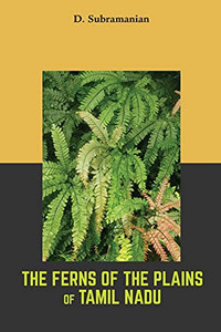 The Ferns Of The Plains Of Tamil Nadu
