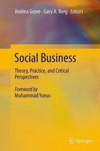 Social Business: Theory, Practice, and Critical Perspectives