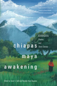 Chiapas Maya Awakening