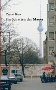 Im Schatten der Mauer: 15 Kurzgeschichten