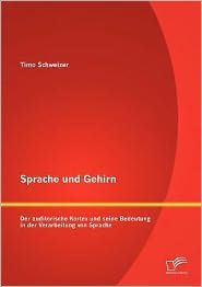 Sprache und Gehirn: Der auditorische Kortex und seine Bedeutung in der Verarbeitung von Sprache