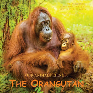 The Orangutan