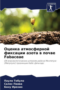 Оценка атмосферной фикс&