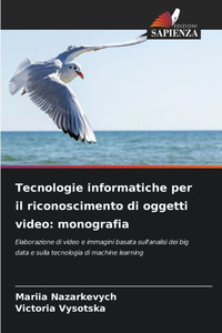 Tecnologie informatiche per il riconoscimento di oggetti video: monografia