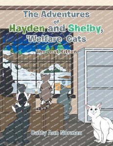 The Adventures of Hayden and Shelby, 'Welfare Cats: The Lost Kitten
