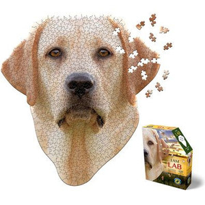 I Am Lab 550 Puzzle