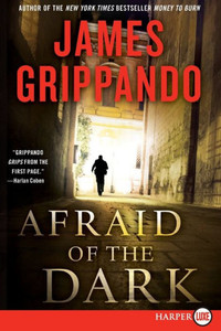 Afraid of the Dark: A Novel of Suspense Large Print