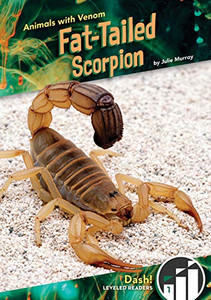 Fat-Tailed Scorpion (Animals with Venom)