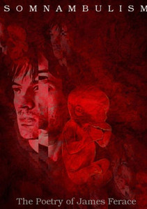 ""Somnambulism: The Poetry of James Ferace""