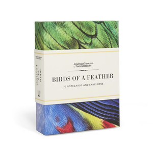 Birds of a Feather: 10 Notecards and Envelopes [With Envelope]
