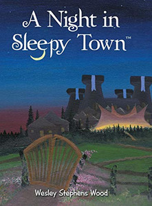 A Night in Sleepy Town A Night in Sleepy Town