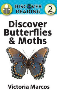 Discover Butterflies & Moths