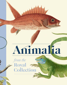 Animalia: Animal Art from the Royal Collection