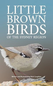 Little Brown Birds